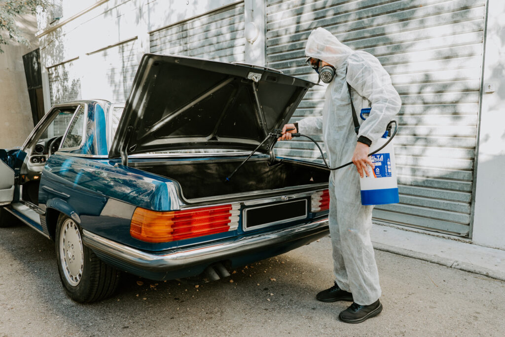 solution nuisibles 13 deratisation desinfection desinsectisation expert 3d marseille rat souris rongeurs puces punaises de lit cafard blatte infection