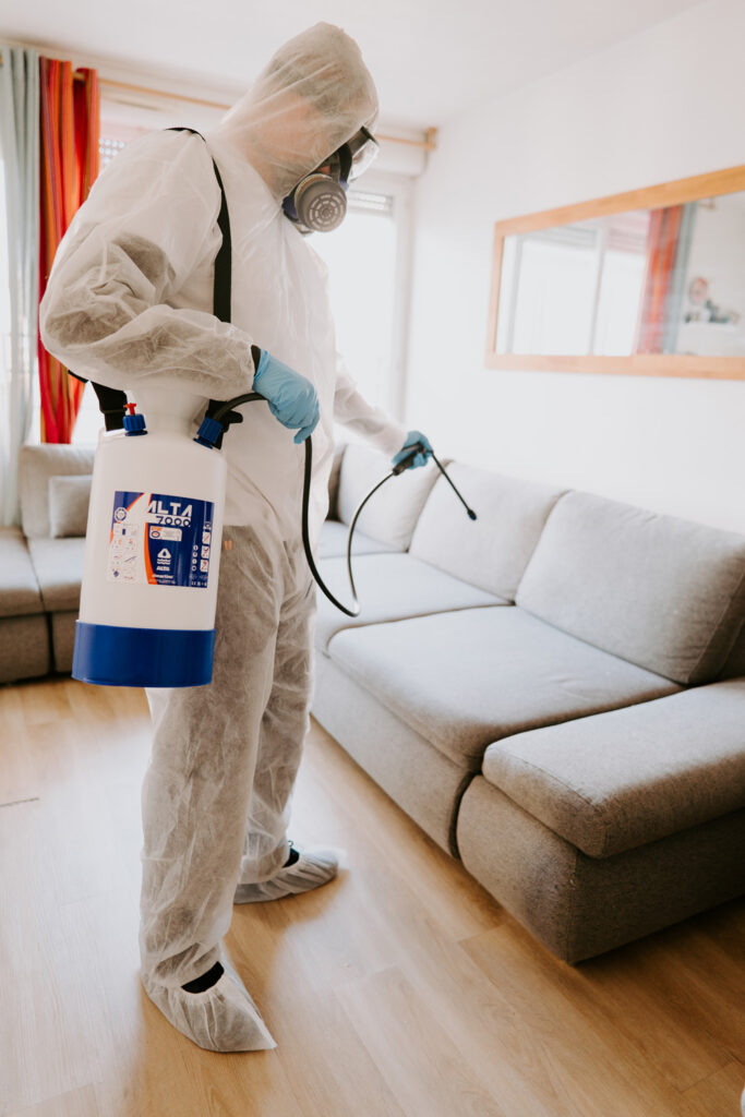 solution nuisibles 13 deratisation desinfection desinsectisation expert 3d marseille rat souris rongeurs puces punaises de lit cafard blatte infection